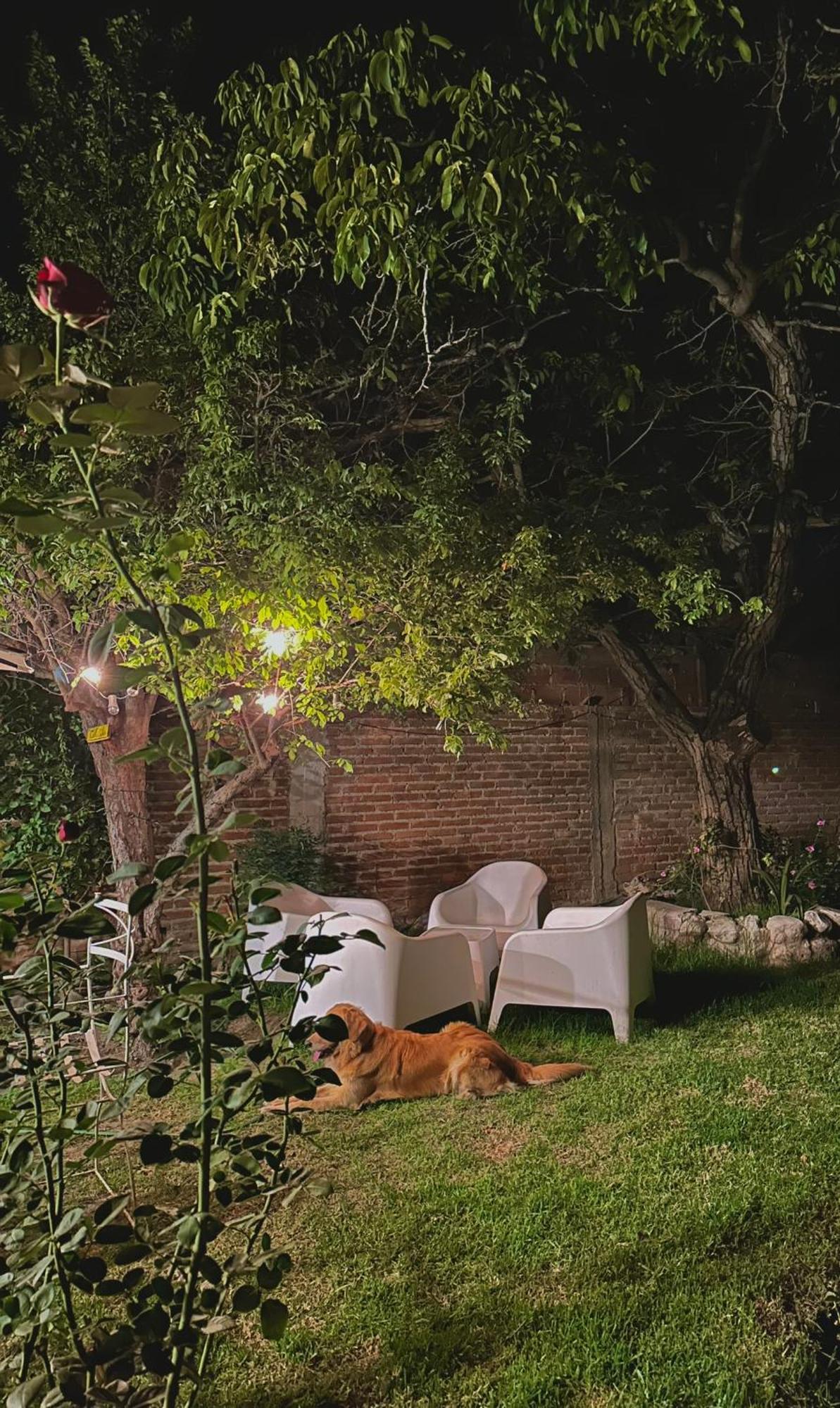 Vila Casa Los Nogales Cafayate Exteriér fotografie